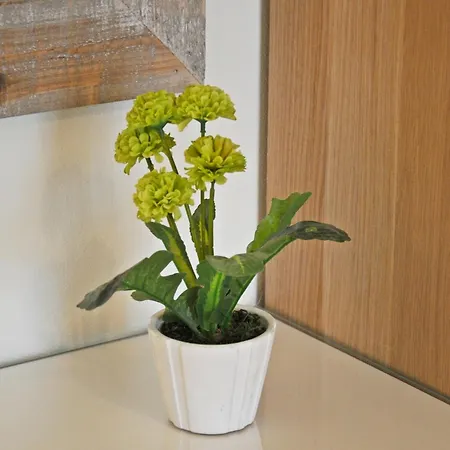 Thalia Pensionat 3*